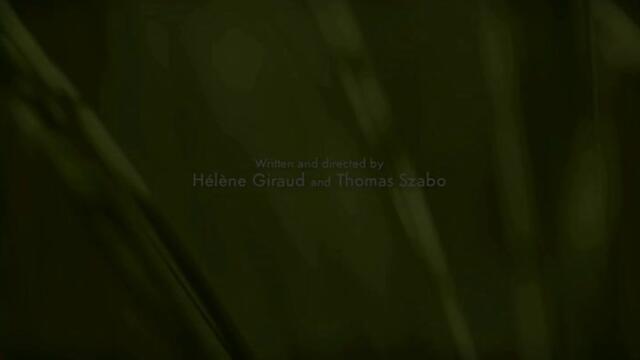 Minuscule.S02E05.2012.DVDRIP.XVID.An.Acorn.Season