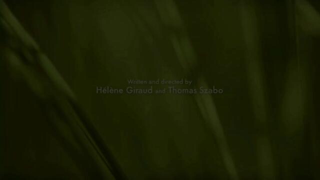 Minuscule.s02e08.2012.dvdrip.xvid.honeyFly