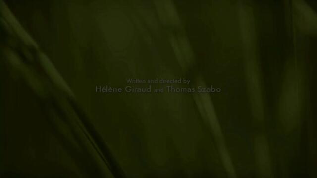 Minuscule.S02E12.2012.DVDRIP.XVID.A.Pathetic.Shenutigan