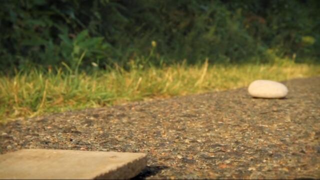 Minuscule.S02E27.2012.DVDRIP.XVID.Like.A.Cannon.Ball