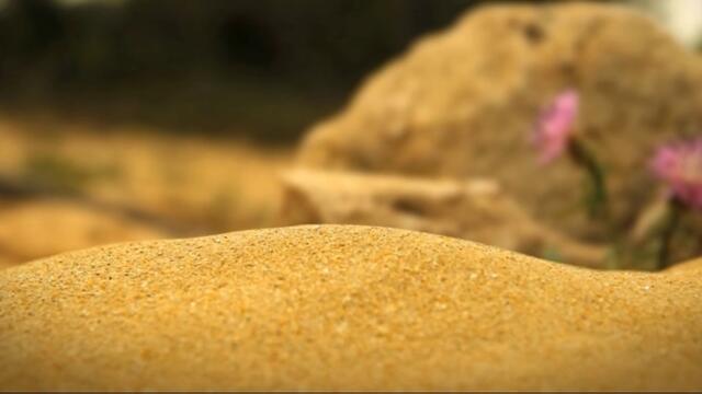 Minuscule.S02E43.2012.DVDRIP.XVID.Pea.Supper