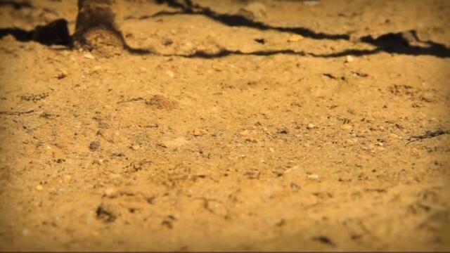 Minuscule.S02E47.2012.DVDRIP.XVID.Sow.The.Wind.And.Reap.The.Whirlwind