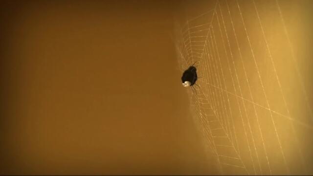 Minuscule.S02E48.2012.DVDRIP.XVID.He.Who.Laughs.Last.Laughs.Longest