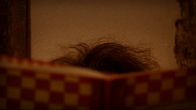 Minuscule.S02E49.2012.DVDRIP.XVID.Fly.Swatter