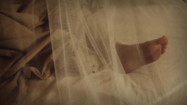 Minuscule.S02E50.2012.DVDRIP.XVID.Mosquito.Net