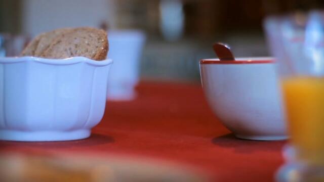 Minuscule.S02E51.2012.DVDRIP.XVID.The.Magic.Fly