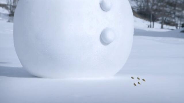 Minuscule.S02E57.2012.DVDRIP.XVID.BroomsSweep