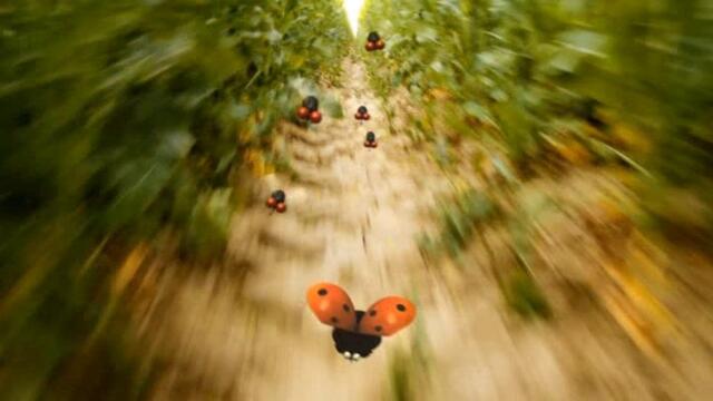 Minuscule.S02E58.2012.DVDRIP.XVID.At.Full.Speed