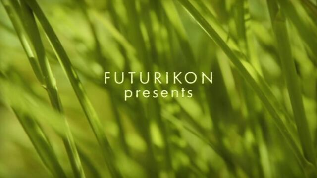 Minuscule.S02E84.2012.DVDRIP.XVID.Snow.Carrot