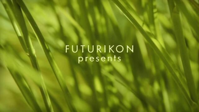 Minuscule.S02E97.2012.DVDRIP.XVID.Umbrella.And.Coconut.Trees