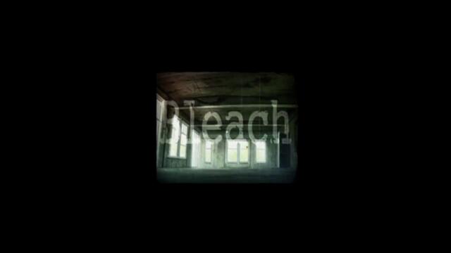 bleach ep313 bg sub