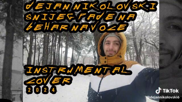 Dejan Nikolovski - Snijeg pade na behar na voce Instrumenal Cover (2024)