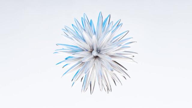 absolutely no jump scares