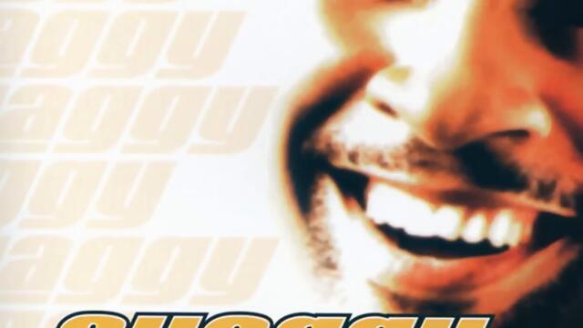 Shaggy-It Wasn't Me_2000