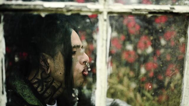 Oddly Shrugs - CONTROL (Official Music Video)