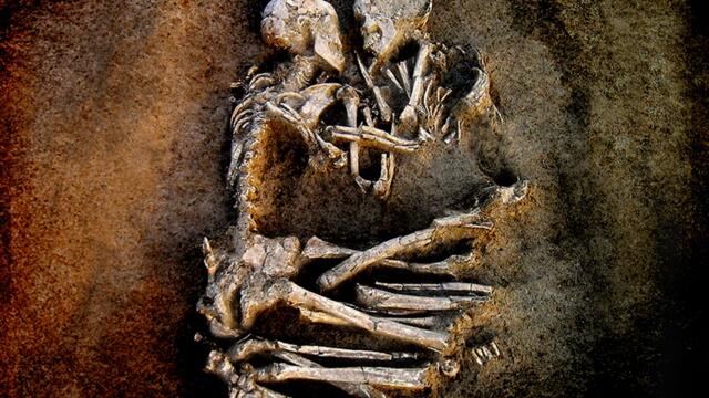 Severed Into Separates