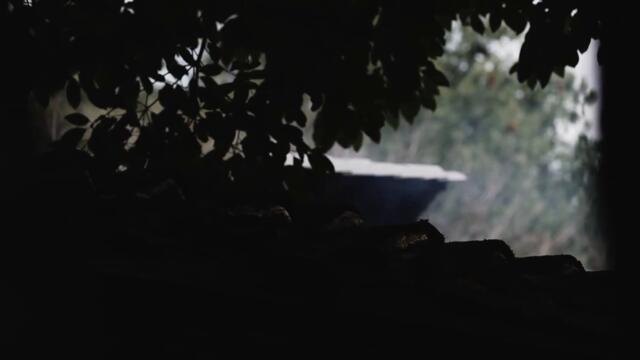 Five Penalties & 和金花 - "三思吉" MV