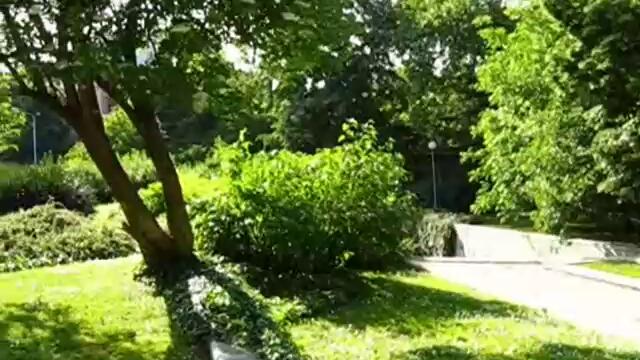 Ники Деведжиев - Showreel 2009 - Vbox7[via torchbrowser.com]