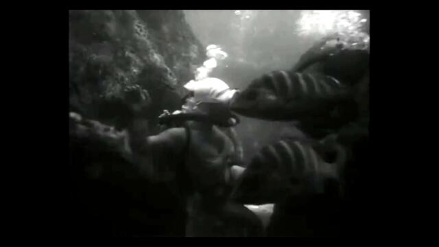 Lords of Acid - THE CRABLOUSE  (hiwatt/VanAcker REmix)