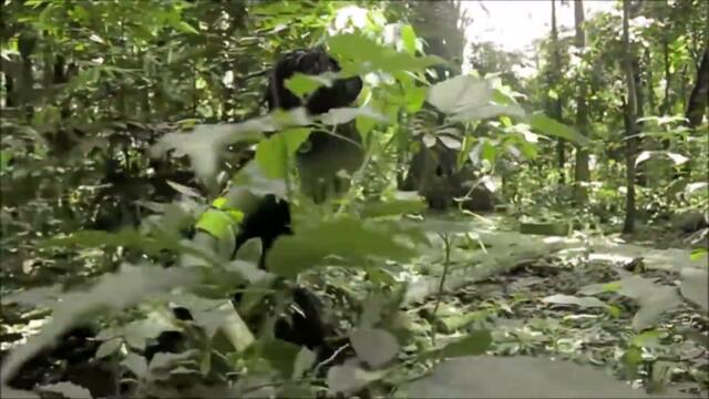 Sagi Abitbul & Guy Haliva - Stanga (Open Source Bootleg)