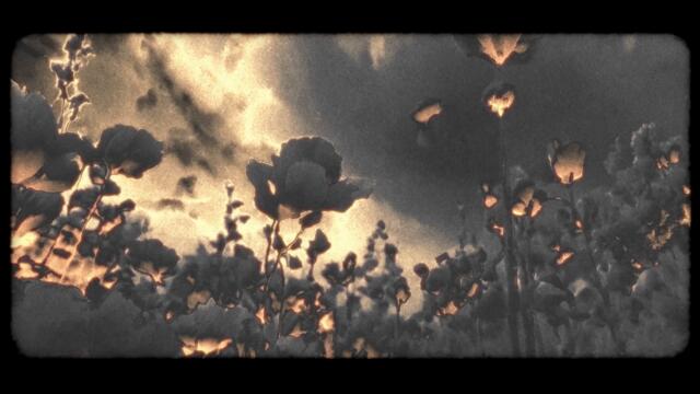 Rhyan Douglas - Afro Blue (Official Video)