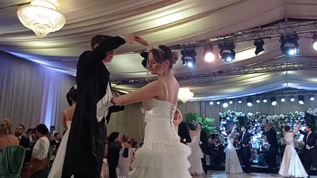 София бе домакин на традиционния Виенски бал[via torchbrowser.com]