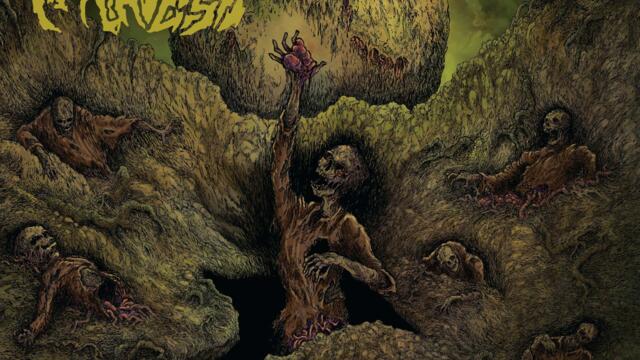 Victims to the Blasphemy