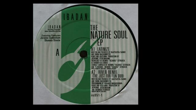 Nature Soul | Latinize (Jerome Sydenham Remix)