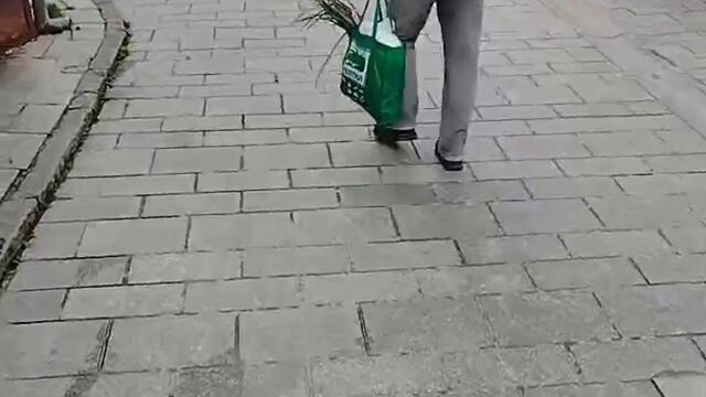 Чаршија Битола 27.03.2024 #битола #bitola #videazabitola #fyp #viral #makedonija