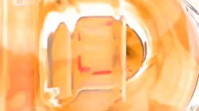 bTV тази сутрин (2009)-720p