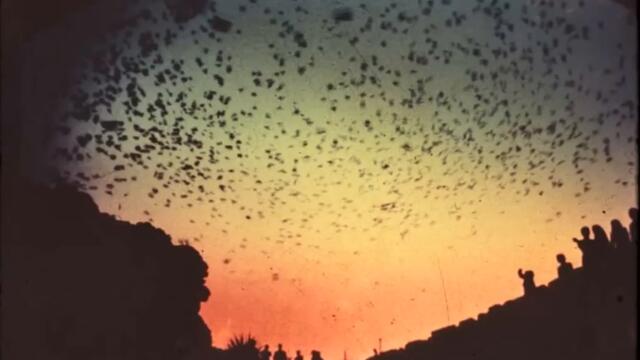 Boards of Canada - Untitled (Machinedrum Edit)