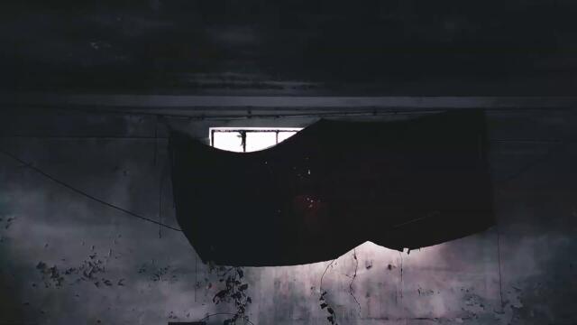 Lenity Lake - Cycles (Official Music Video)