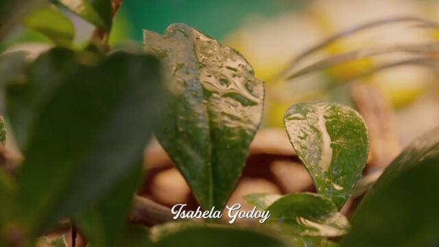 Вълшебната градина Let Love Grow (2022) Бг Аудио Част 1