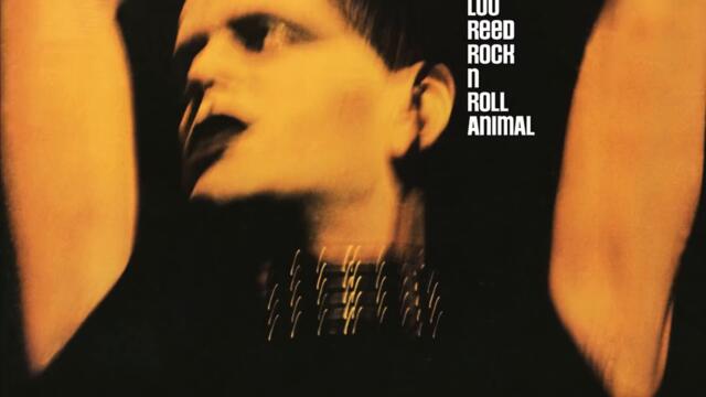 Intro / Sweet Jane (Live [1973 Version])