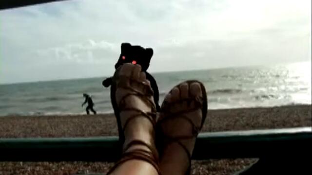 Airside_ MTV Mobile Idents - Static Bear-360p