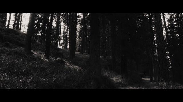SCHAMMASCH - Ego Sum Omega (Official Video)