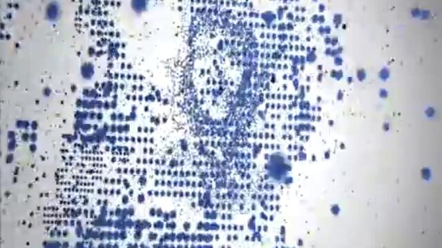 Viasat History ID - Obama & Che-360p