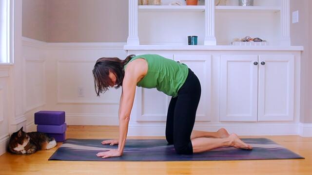 FREE Daily Somatics FULL BODY RELEASE Routine for You 💛 Practice Every Day 💛 20 minutes