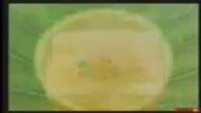 Реклама Garnier-144p