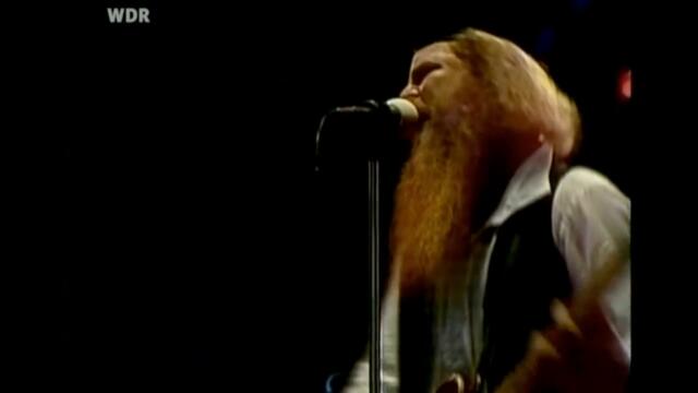 ZZ TOP - Beer Drinkers and Hellraisers - 1980 *re-upload