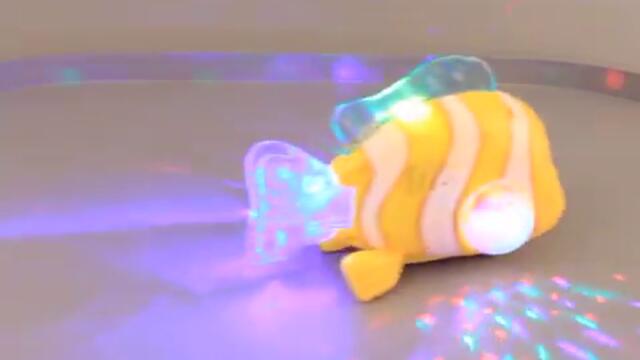 Рибка клоун-360p