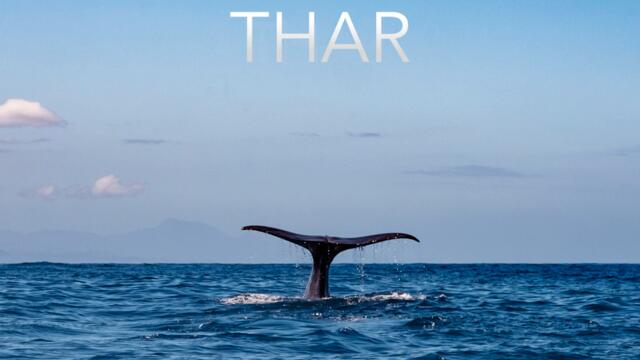 Go Ahead and Try to Have a Conversation Online