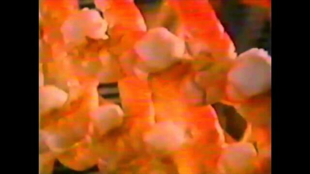 GREAT CHOICE Movie Clip - Red Lobster (2017) TIFF Short Film Horror Comedy Movie HD