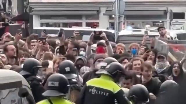 A K-9 police dog attacks a cop at a pro-Palestine protest in Amsterdam