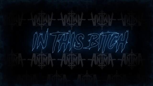 AnimA - In This Bitch (Official Audio)