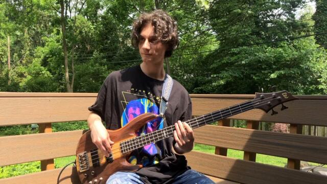 Jaco Pastorius- Come On, Come Over (bass cover)