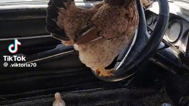 0-02-05-0bca8d716709c35ed8264f3037224ae0dd4d43dbfebad20950ba1a12b6569120_fe2308869c1bf883