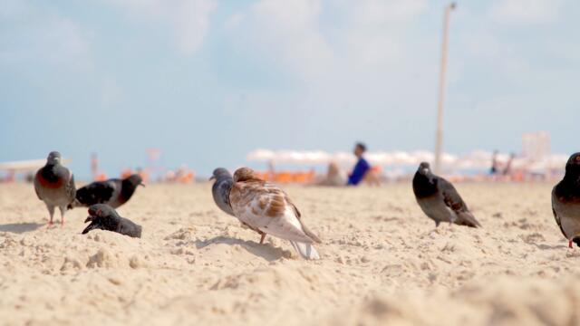 Alon Tayar - Once In A While (Official Video)