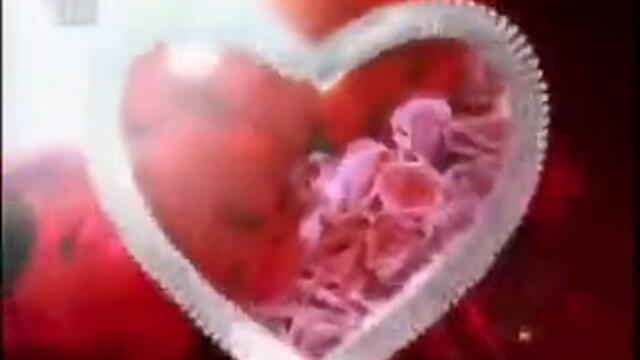 море_от_любов_с_музиката_на_като_на_17_360p (240p)