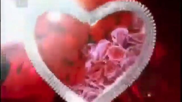 море_от_любов_с_музиката_на_като_на_17_360p